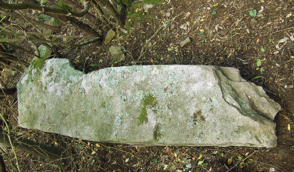 Immagini delle scoperte archeologiche subacquee all'Isola d'Elba, inclusi un dolium e i resti di un relitto.